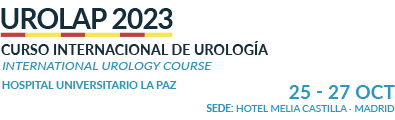 Curso Internacional de Urología / International Urology Course. Madrid, 25-27 Octubre 2023. Spain